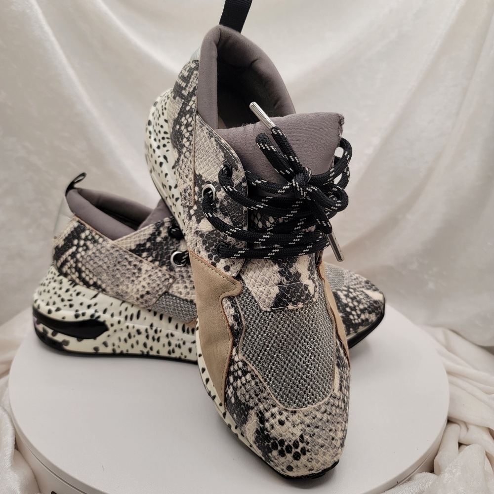 Steve Madden Cliff Snake Sneakers Very Jazzy Glitter Polka Dot Shoes Size 10 M